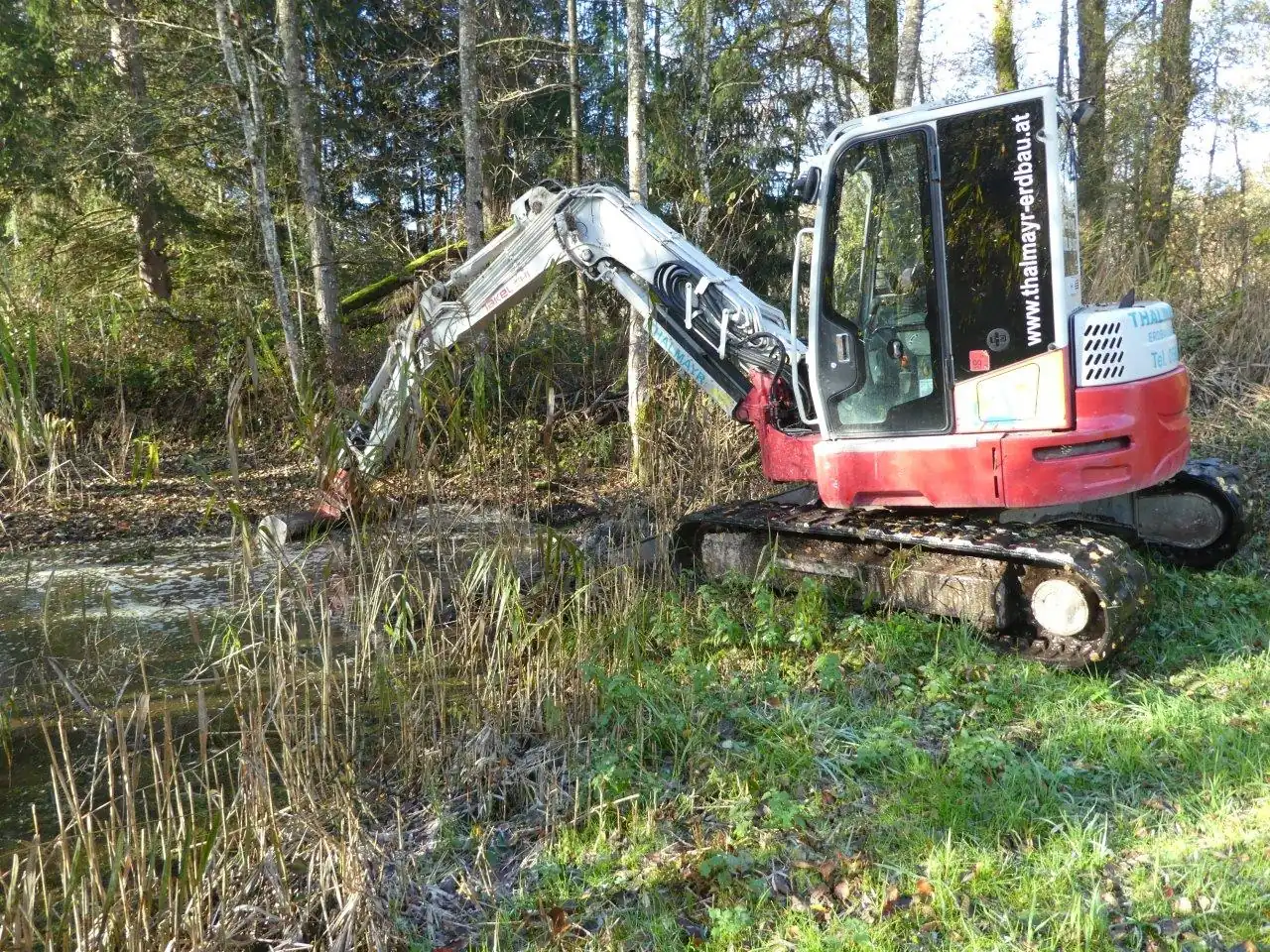 Es herbstelt im Bürmooser Moor