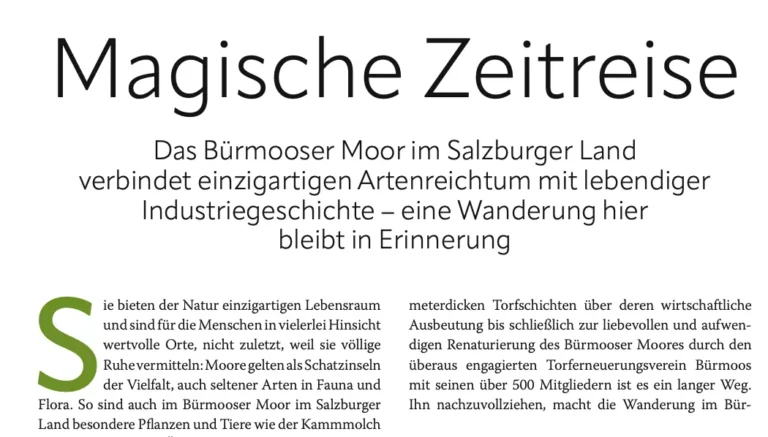 Zeitreise durchs Bürmooser Moor
